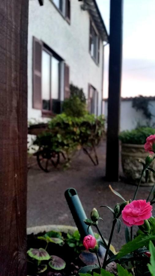 Miltons Country Lodge Lower Langford 외부 사진