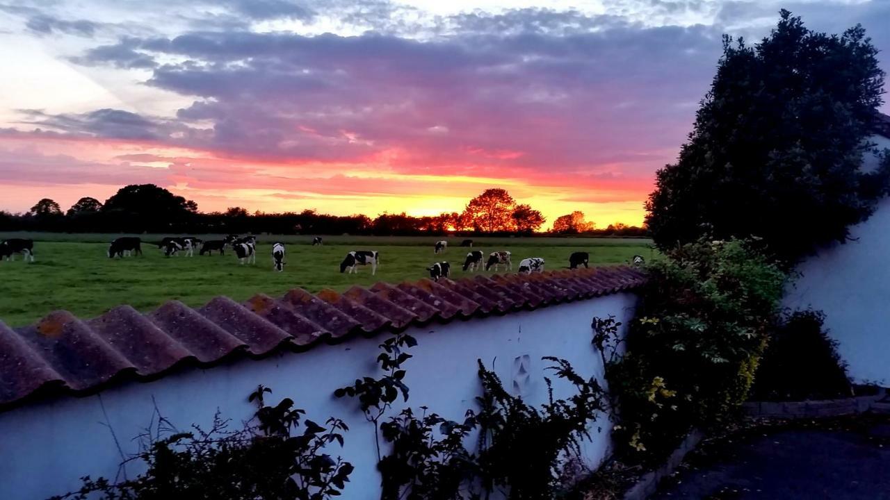 Miltons Country Lodge Lower Langford 외부 사진